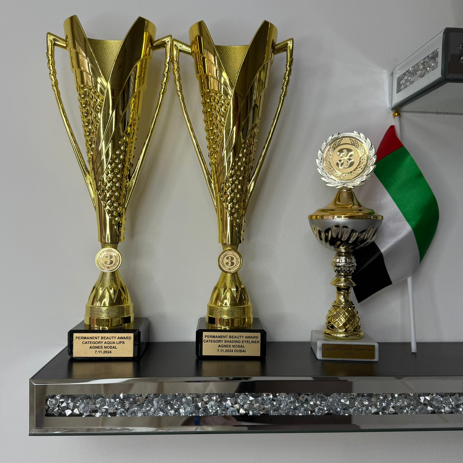 Permanent Beauty Award Pokale von Agnes Nosal - Aqua Lips und Shading Eyeliner Dubai 2024